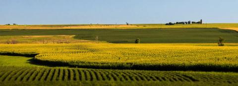 green and golden patchwork of fields