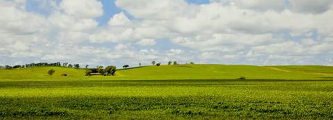 Plush green farmland