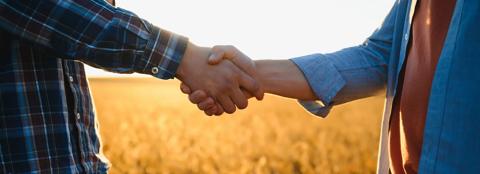 Two people shaking hands in a golden soybean field.