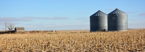 Fall corn field with two grain silos.