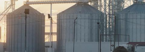 planting into headwinds early 2026-27 grain outlook