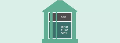 Graphic of house with RP or YP or APH at the base and SCO at the top