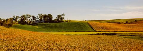 Farmland with rolling hills in the background