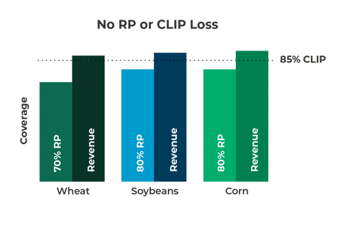 multiple colored bar chart