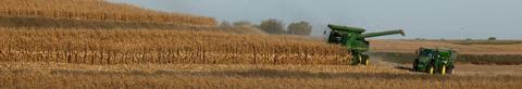 Golden field at harvest with combine and grain cart