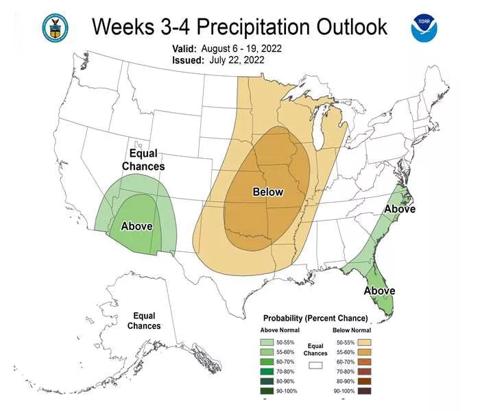 Weeks 3-4 precipitation outlook, Valid: August 6-19, 2022 and Issued: July 22 2022