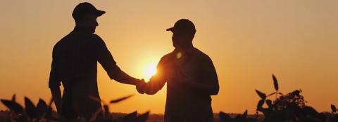 Sunset silhouette of two farmers in the field. 